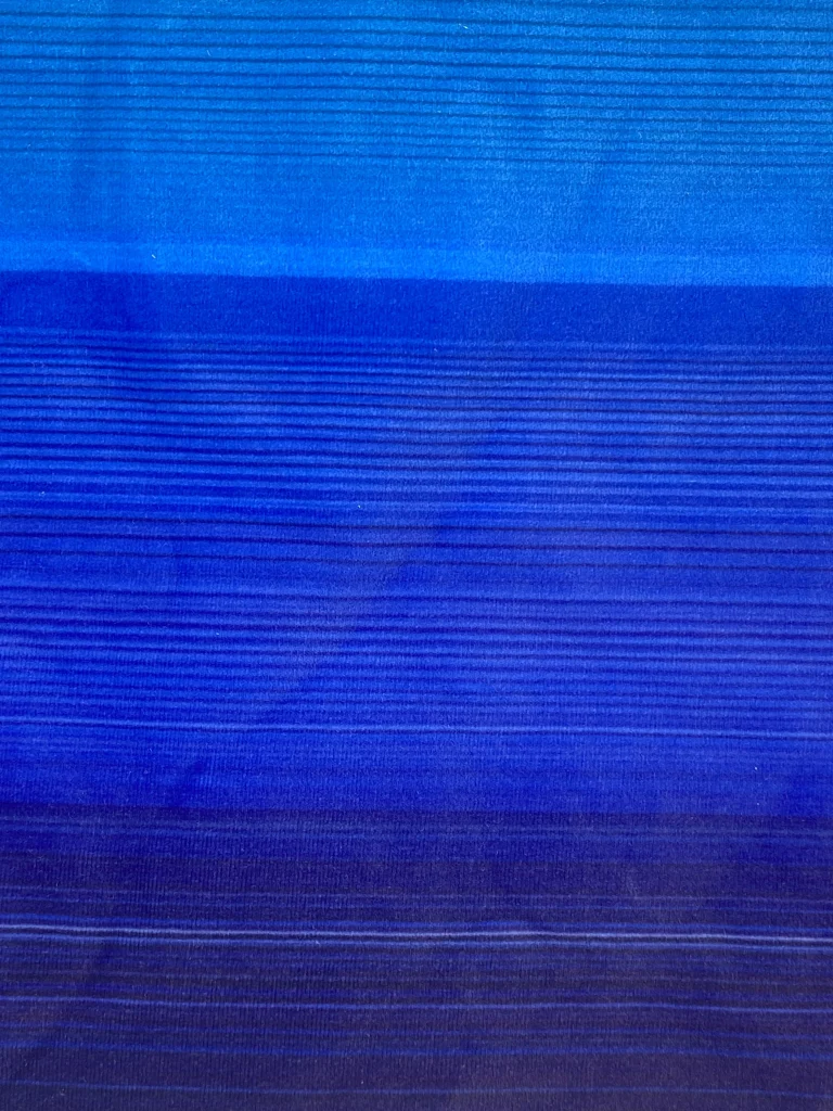 Digital Print Velvet 3