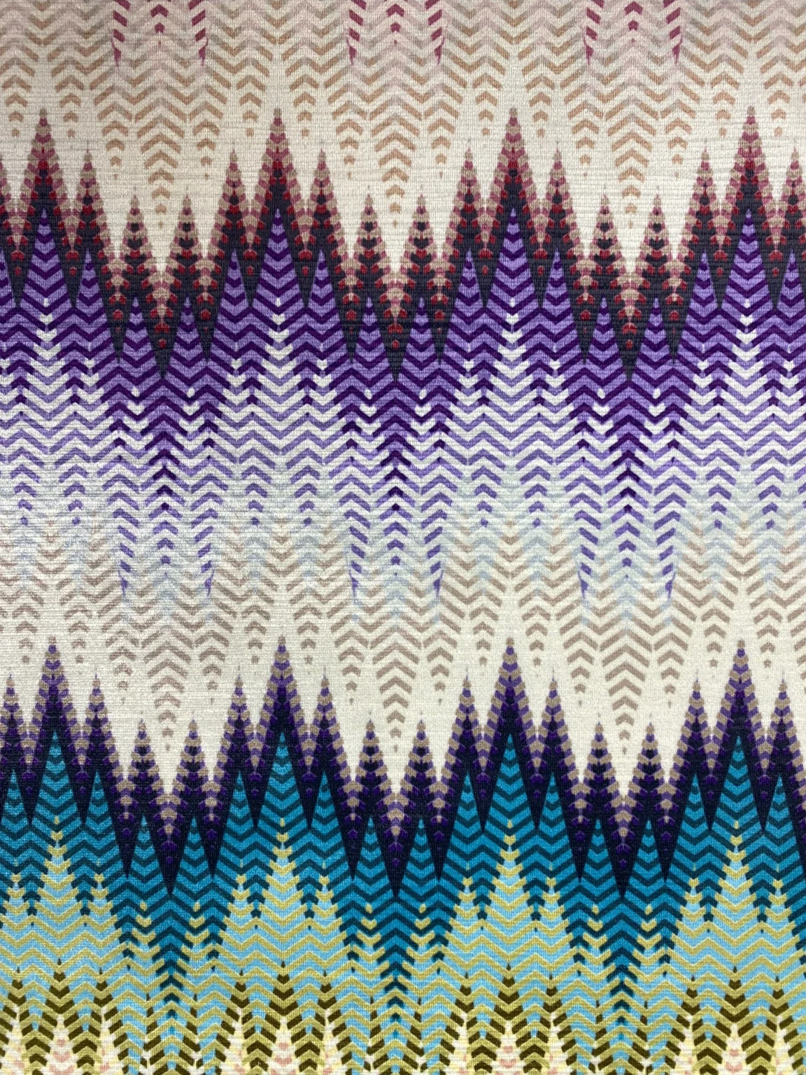 Digital Print Velvet 6