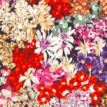 Digital Print Velvet 14