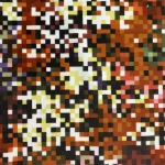 Digital Print Velvet 22