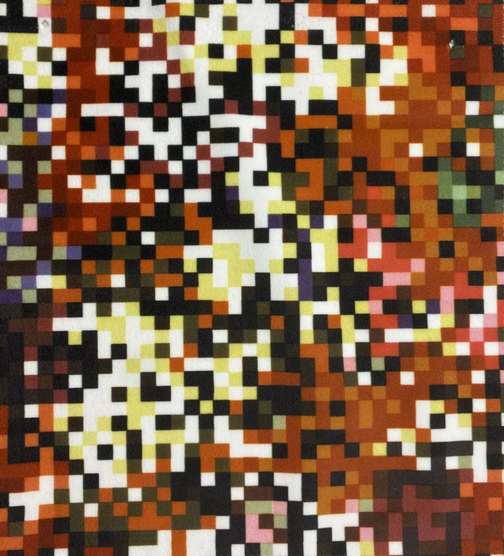 Digital Print Velvet 22