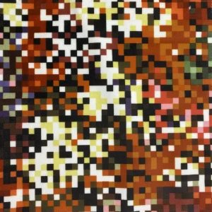 Digital Print Velvet 22