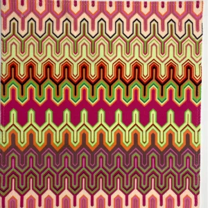 Digital Print Velvet 19