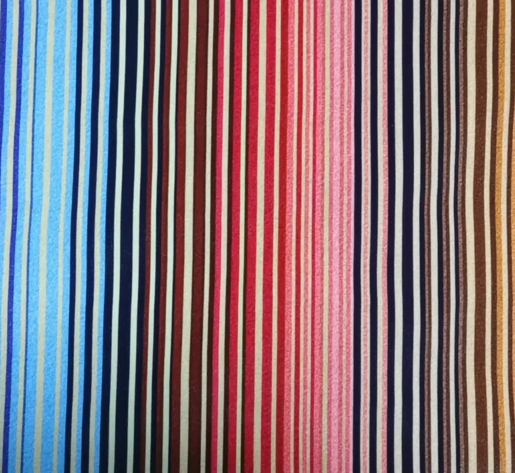 Digital Print Velvet 28