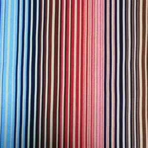 Digital Print Velvet 28