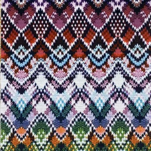 Digital Print Velvet 48