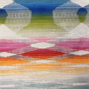 Digital Print Velvet 49