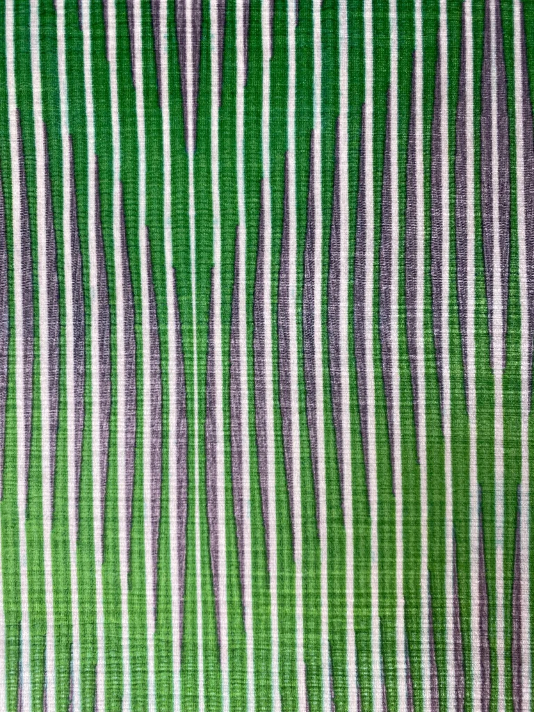 Digital Print Velvet 54