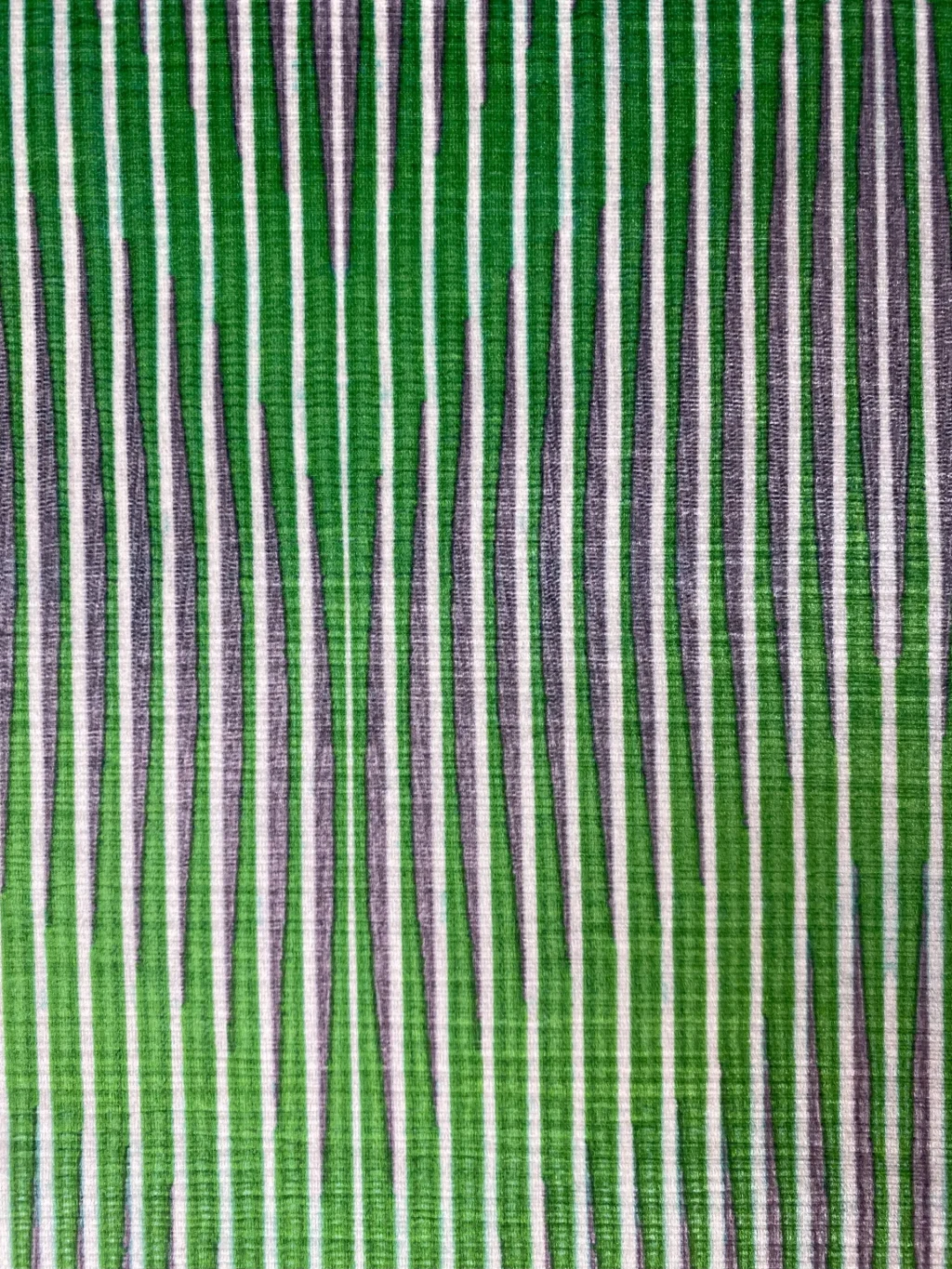 Digital Print Velvet 54