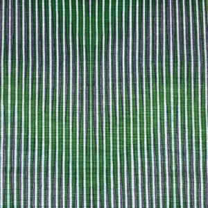 Digital Print Velvet 54