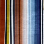 Digital Print Velvet 57