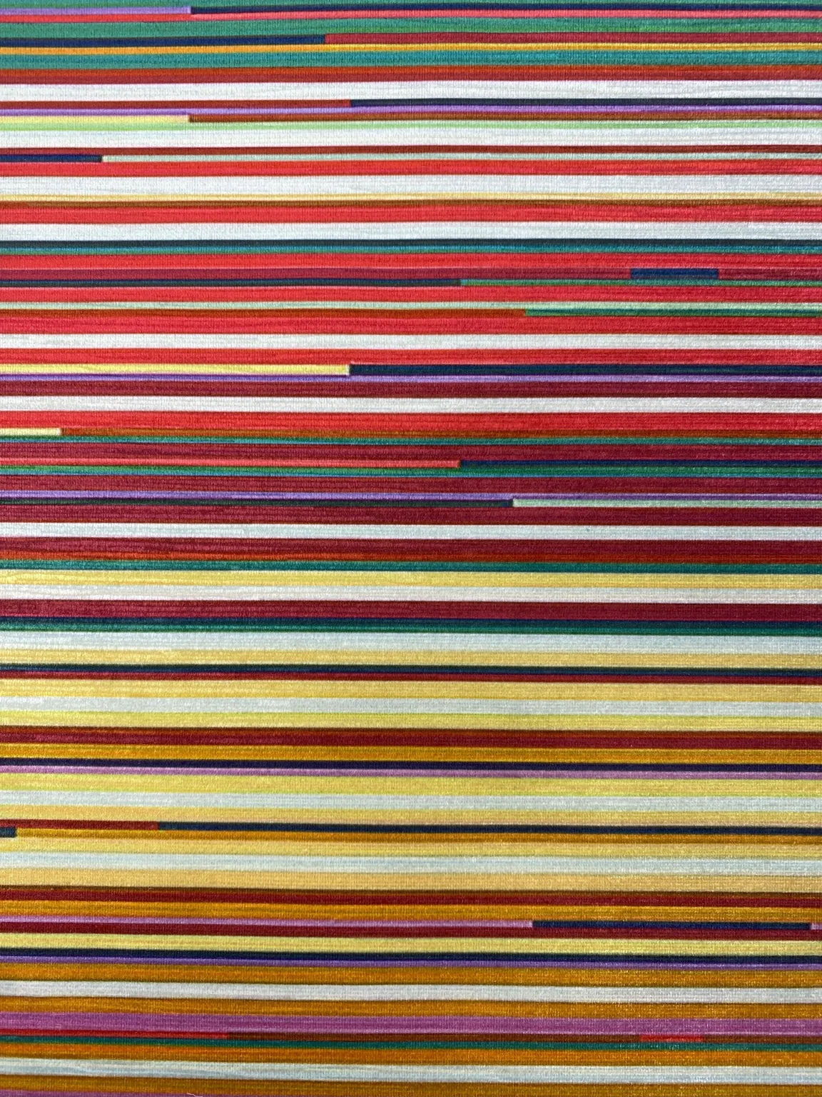 Digital Print Velvet 59