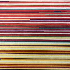 Digital Print Velvet 59