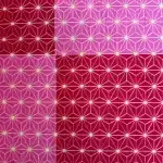 Digital Print Velvet 67