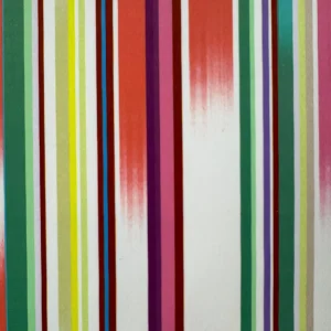 digital print velvet 72