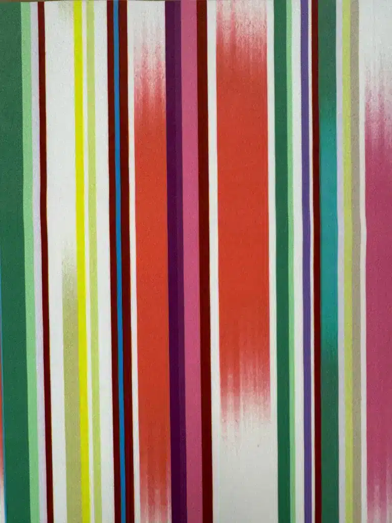digital print velvet 72