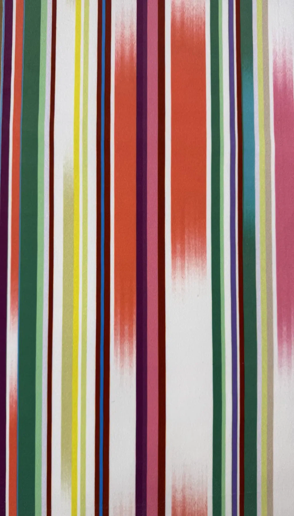 Digital Print Velvet 72