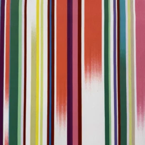 digital print velvet 72