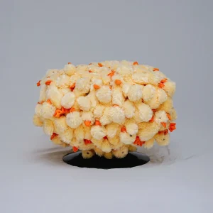 Animal Chair: Duck Egg Stool