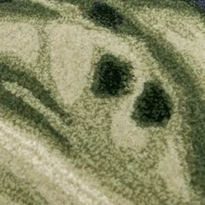 Rug - CLOUD POETRY 1