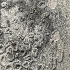 MOON OF MING