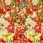 Digital Print Velvet 75