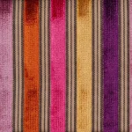 Rainbow Stripe 29