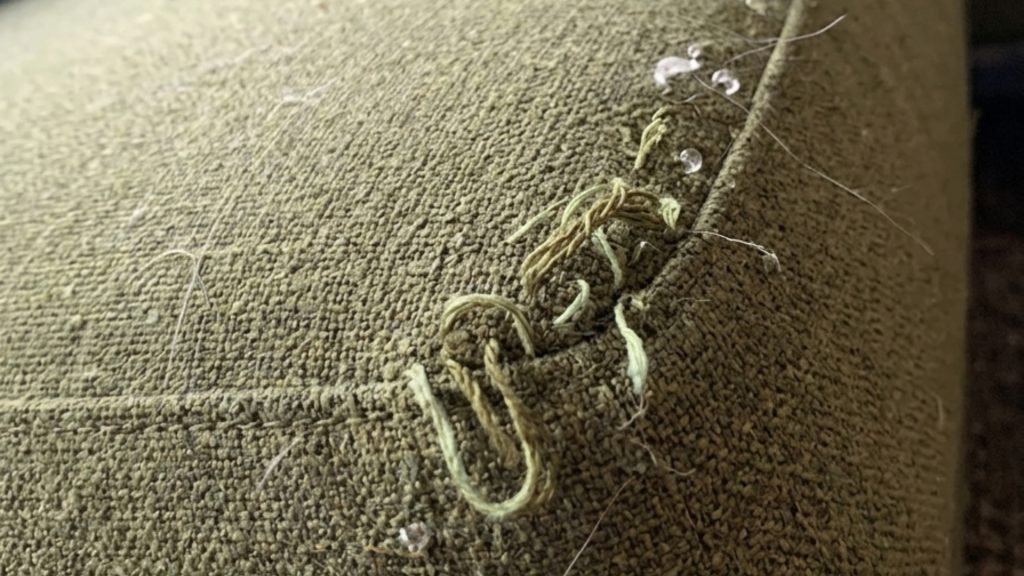 An olive couch snagged by a cat.