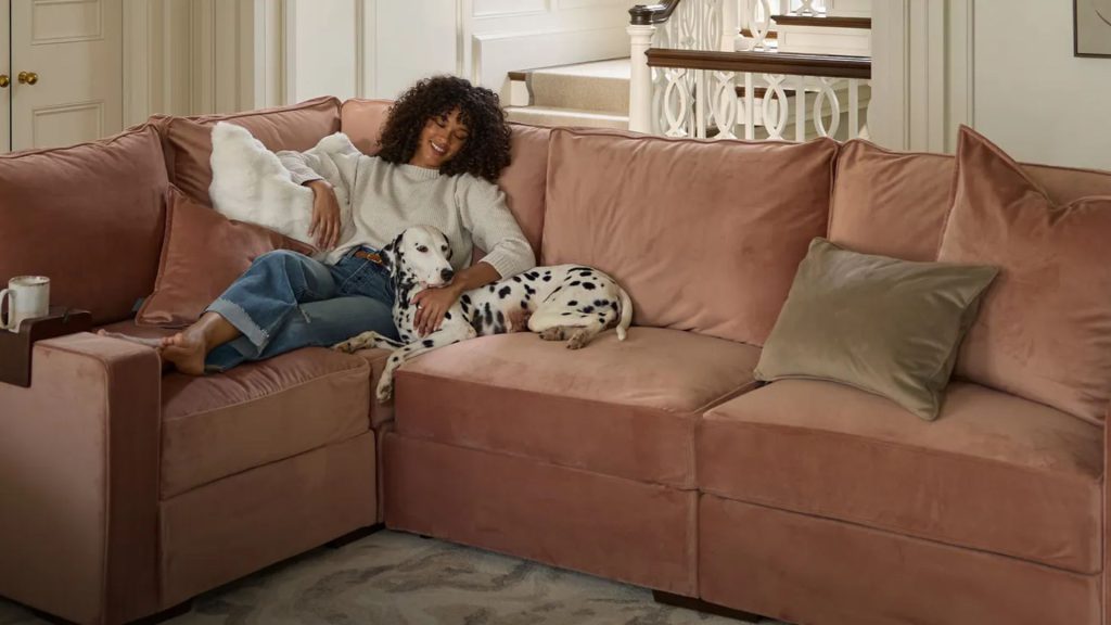 Lovesac's sactional in pink with a lady and a dog.