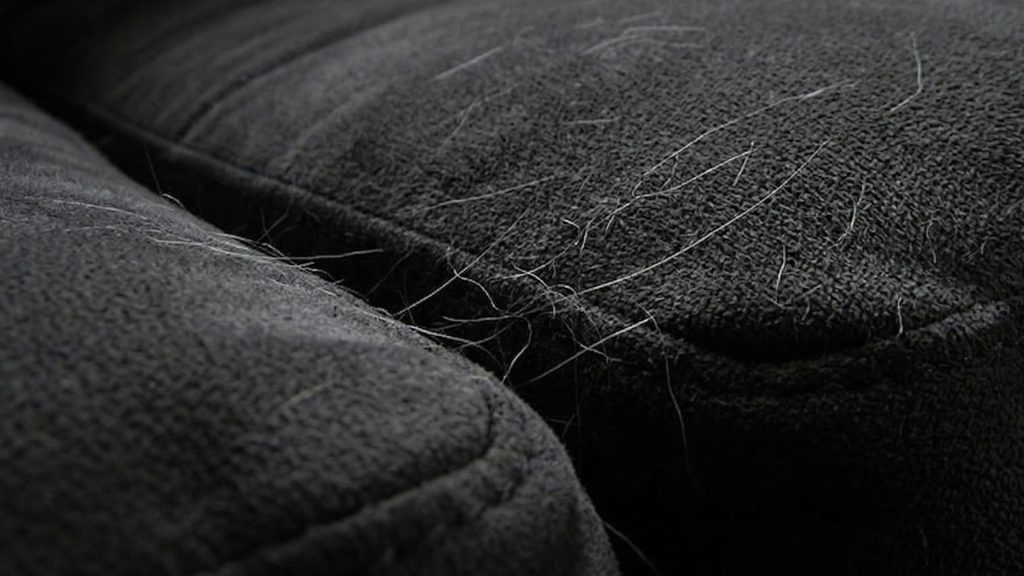 A black sofa with pet hair.