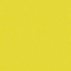 Fabric -Digital Print Velvet 91