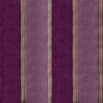 Double Color Stripe 10