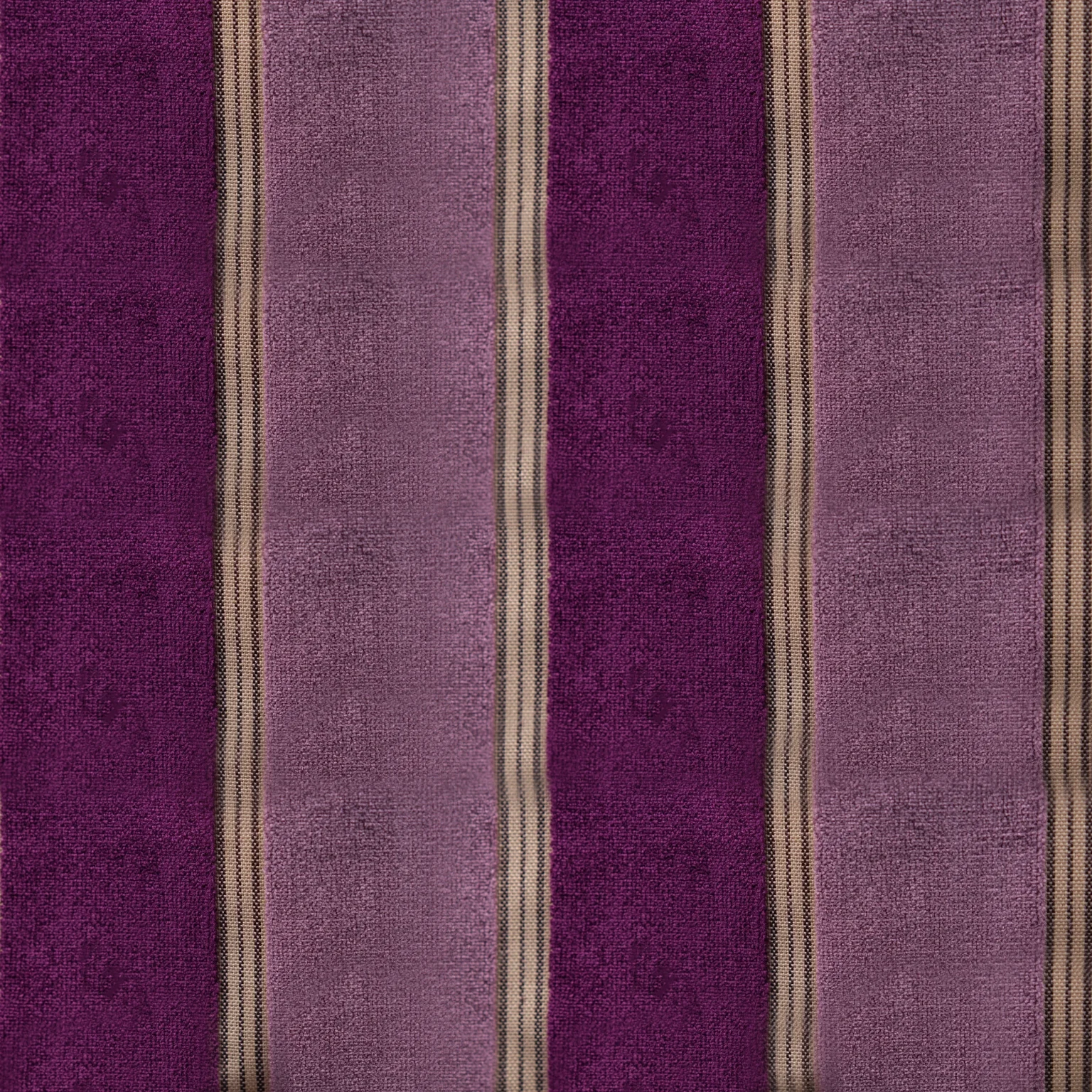 Double Color Stripe 10
