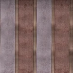 Double Color Stripe 05