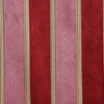 Double Color Stripe 12
