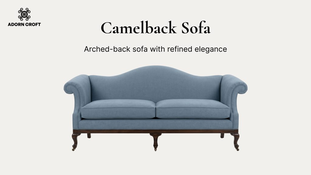Graphic of a Camelback sofa with a short description about its distinctive features.