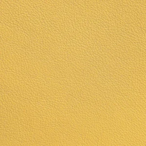 Vegetable Tanned Leather 01