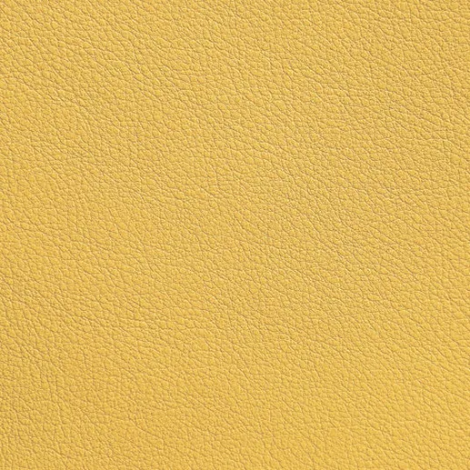 Vegetable Tanned Leather 01