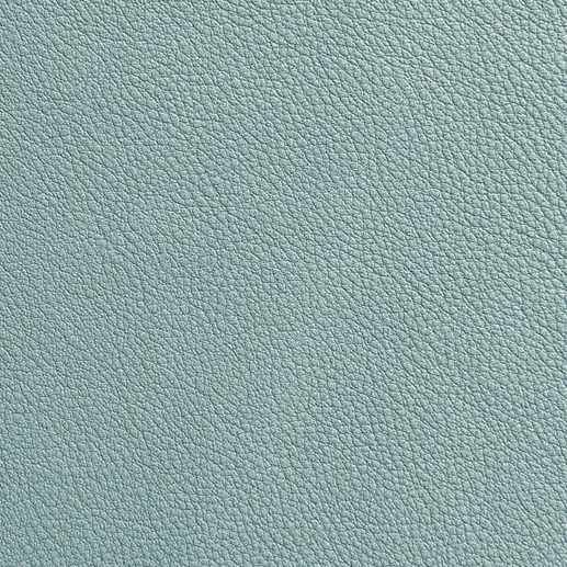 Vegetable Tanned Leather 03