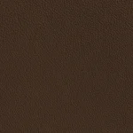 Vegetable Tanned Leather 06
