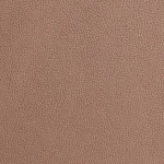 Vegetable Tanned Leather 07