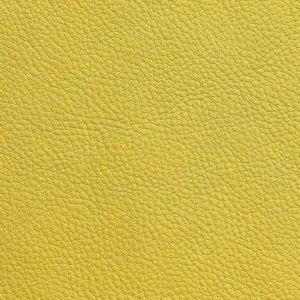 Vegetable Tanned Leather 08