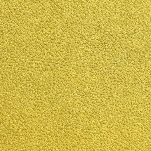 Vegetable Tanned Leather 08