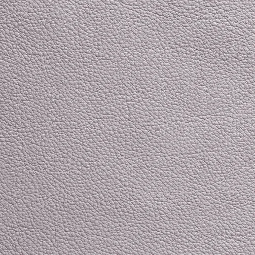Vegetable Tanned Leather 09
