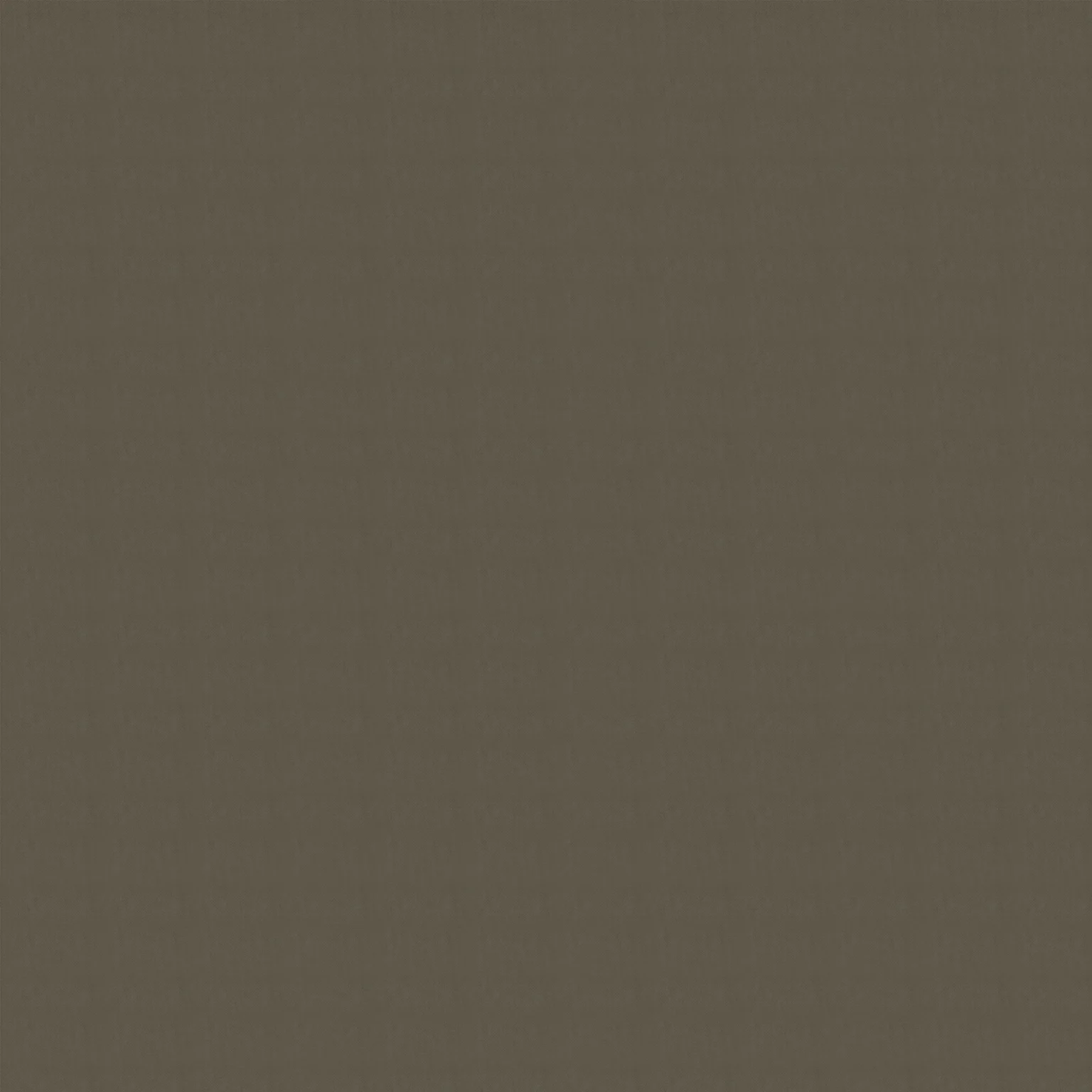 Stone Olive Feny-03