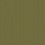 Sage Green Mint-03
