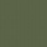 Sage Green Mint-03