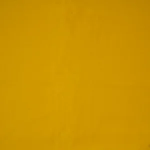 Golden Saffron