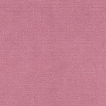 Classic Velvet Vintage Rose