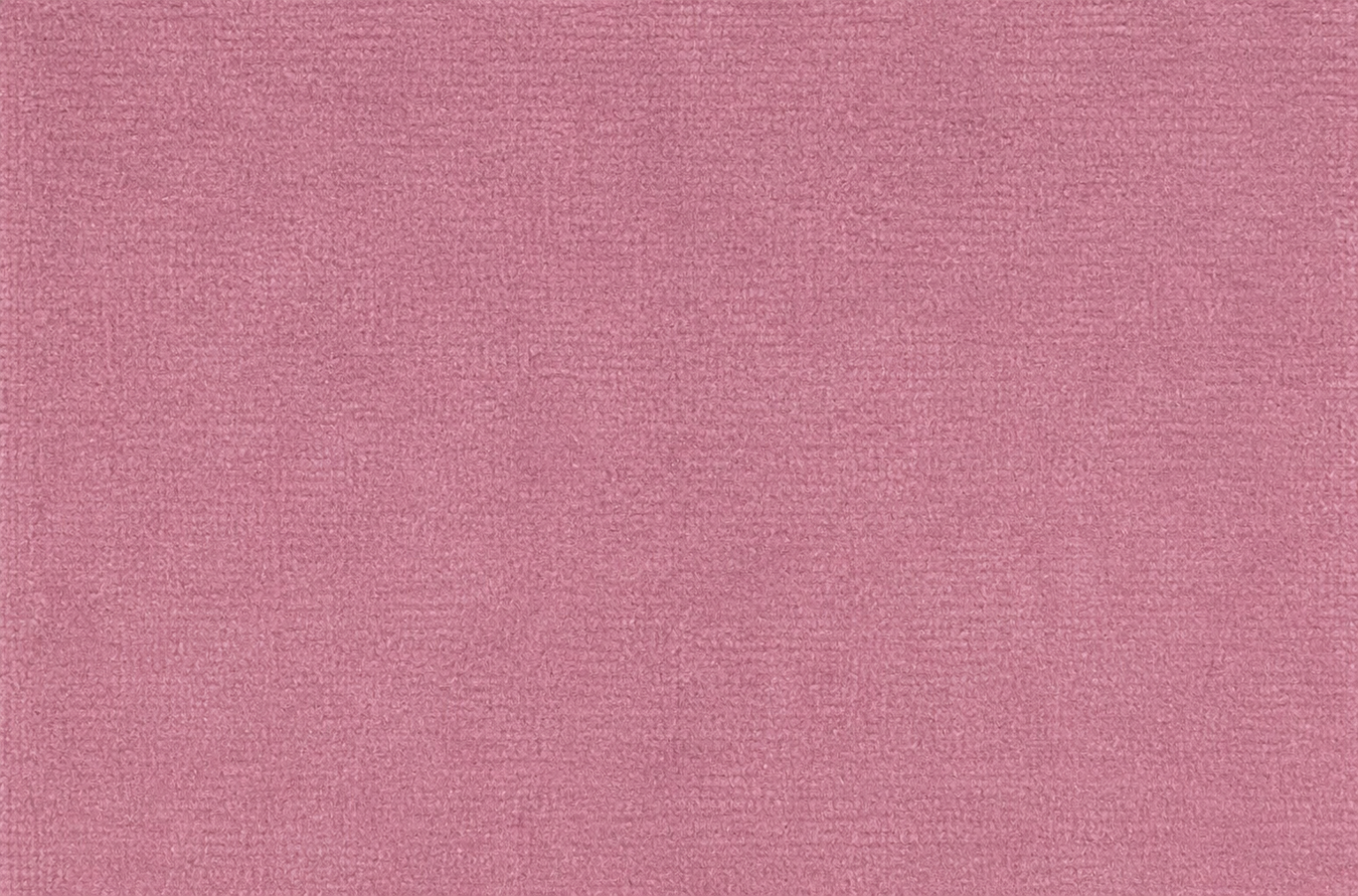 Classic Velvet Vintage Rose